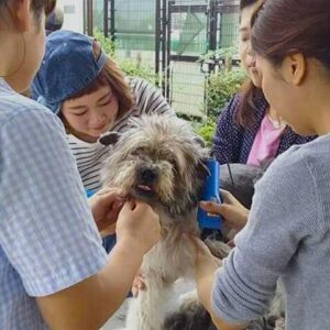 ボランティア育成プログラム