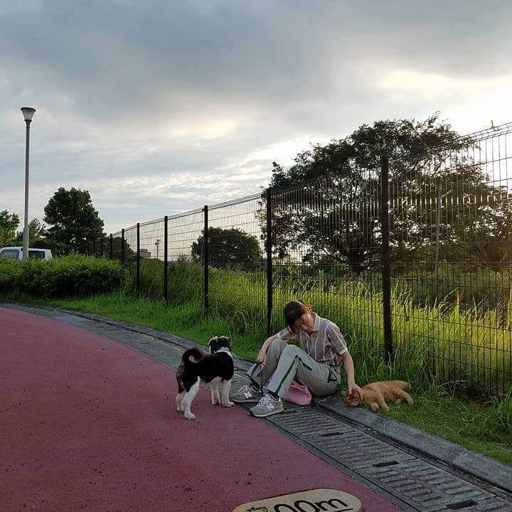 熊本地震で被災した飼い主さんとペットたち
