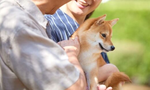 柴犬と飼い主