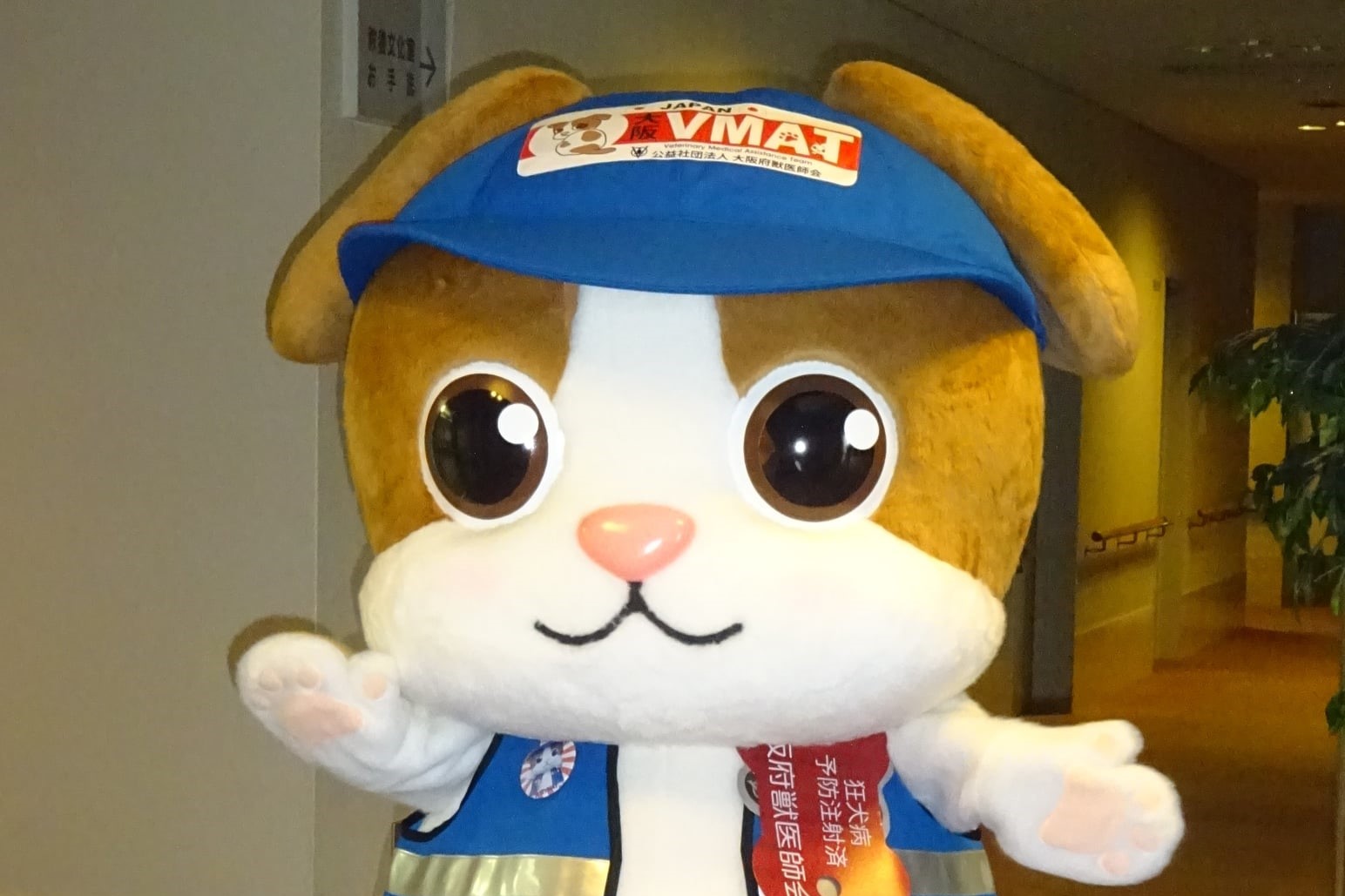 大阪VMATマスコットキャラクターふじゅくん