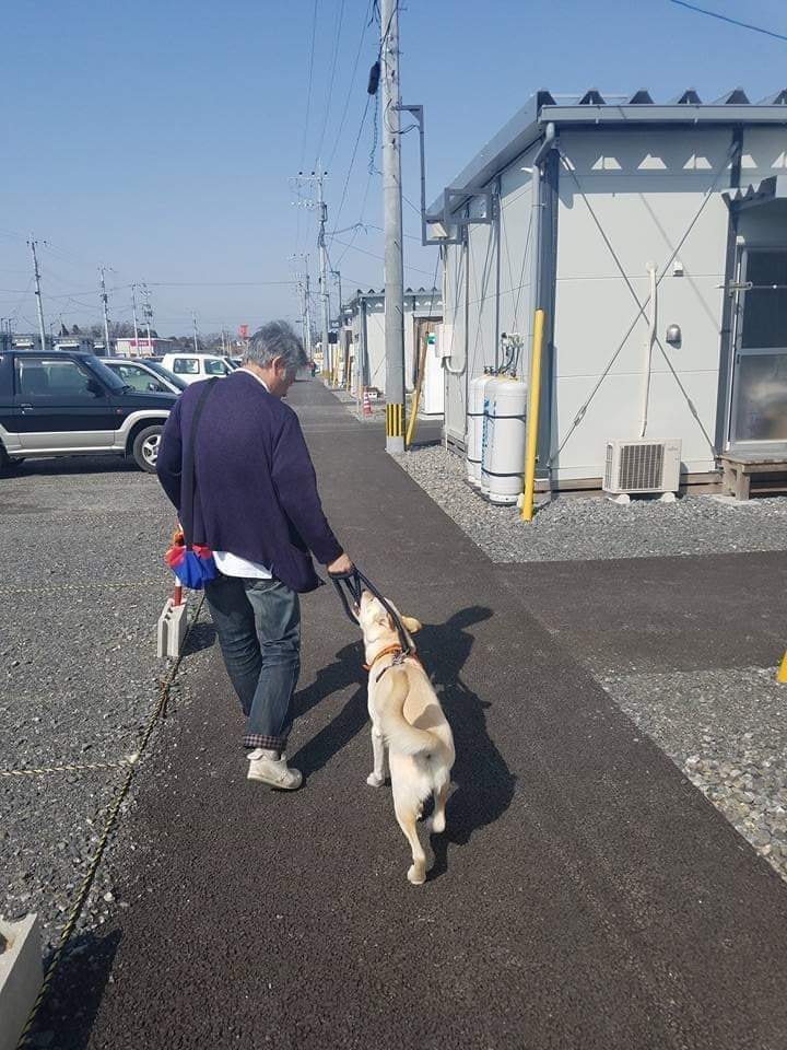 熊本地震ペットと飼い主