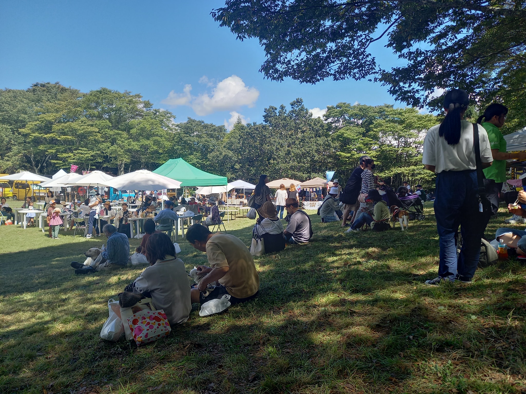 ここワンフェスの様子