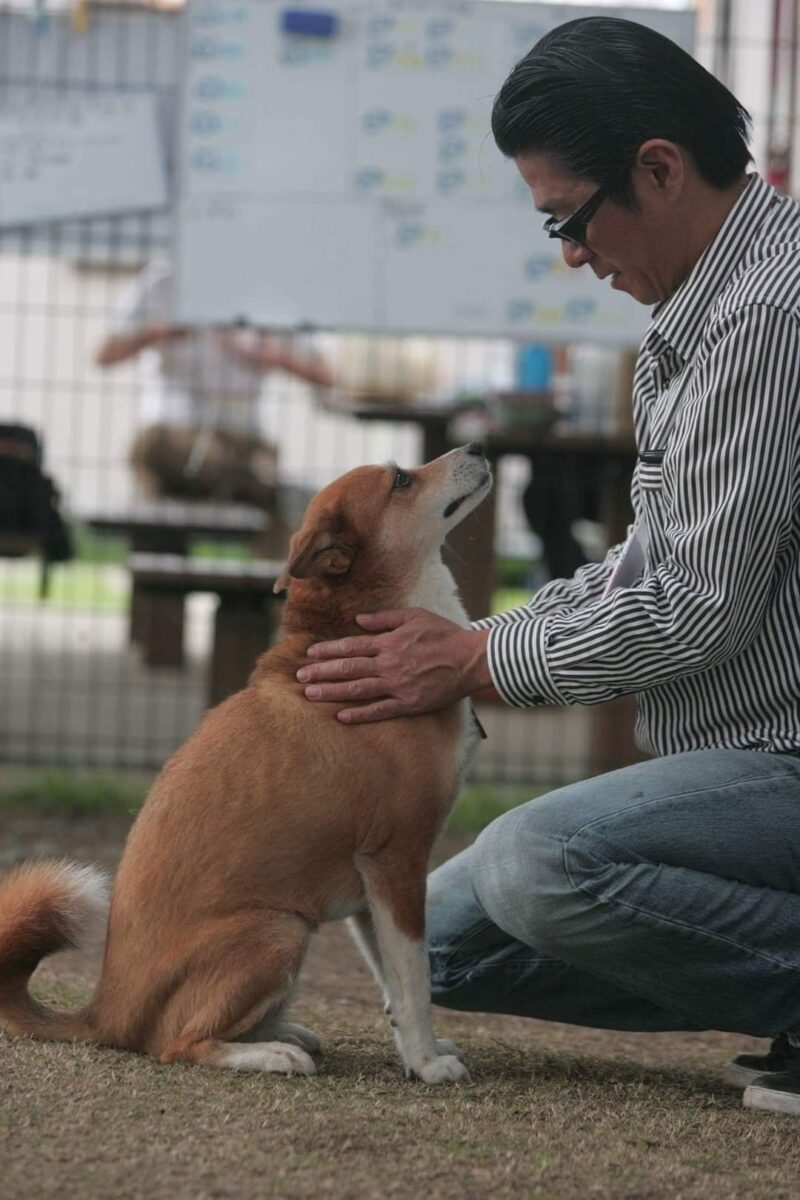 熊本地震益城町わんにゃんハウス