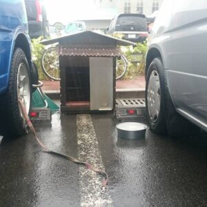【熊本地震 現地レポート】熊本地震ペット同行避難の現実 序章